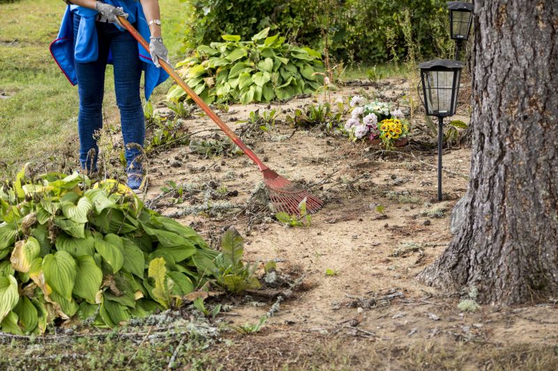Brush Clearing Service in Marietta, GA