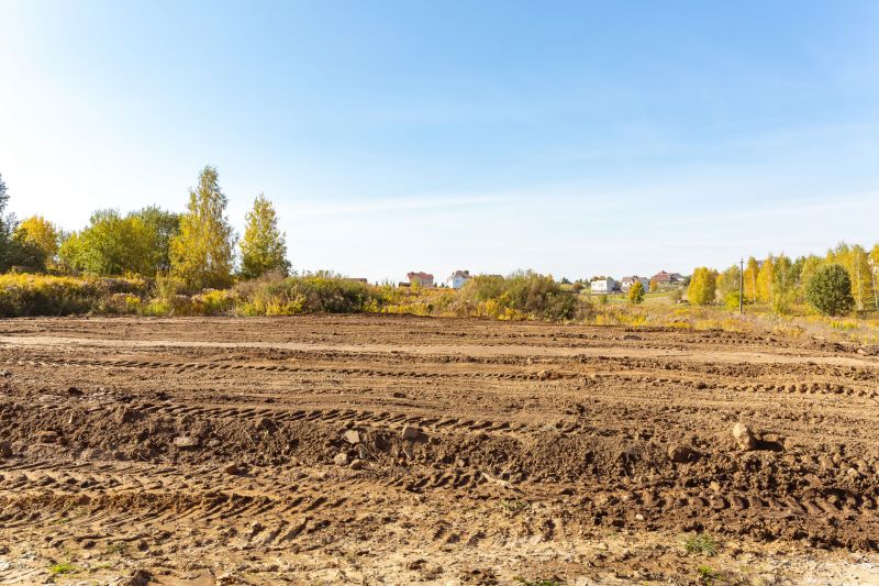 Land Clearing in Katy, TX